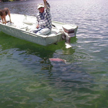 Boat Inspection Required To Launch Boats at Echo Lake